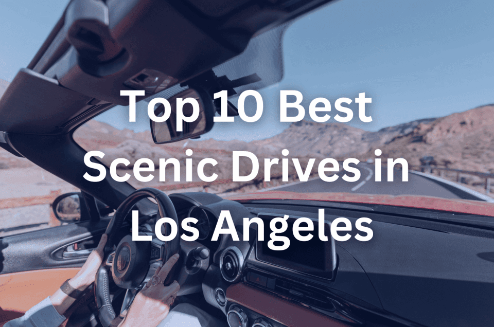 Top 10 Best Scenic Drives in Los Angeles