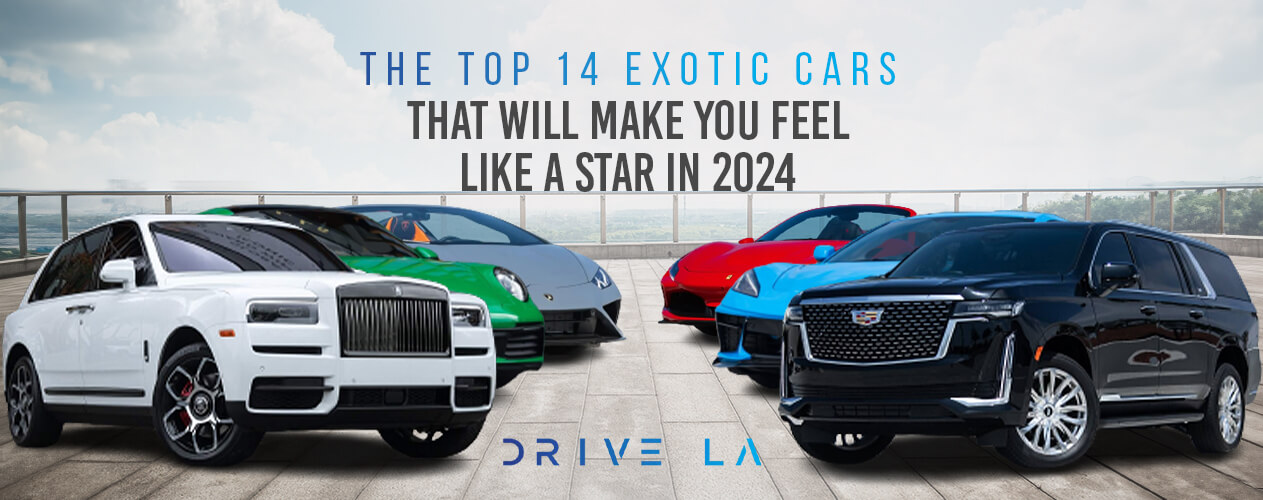 The Top 14 Exotic Cars that Will Make You Feel Like a Star in 2024